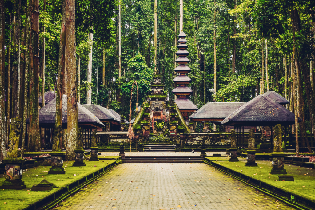 Sacred Monkey Forest Sanctuary is one of the most unique 
things to do in Ubud Bali