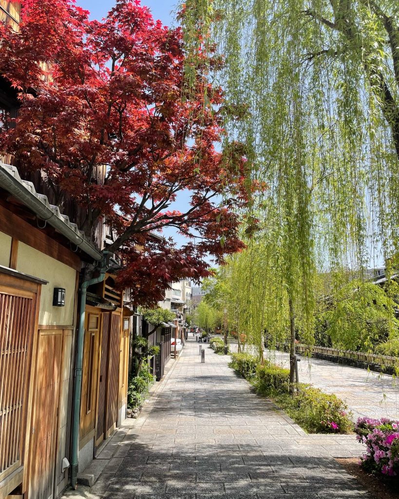 A pedestrian street with traditional Japanese architecture, lined with wistera trees and a red-leafed tree in the foreground.