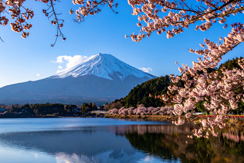 Japan travel guide by Travel For Phoebe